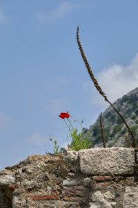 Auf dem Weg zur Festung Sveti Ivan, Kotor Montenegro