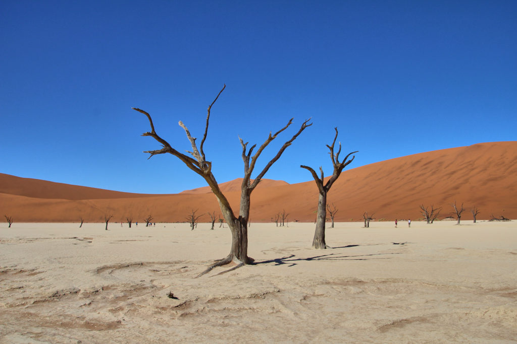 Dead Vlei, Namib-Naukluft-Nationalpark Namibia
