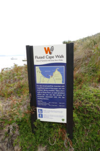 Fluted Cape Walk Adventure Bay Bruny Island