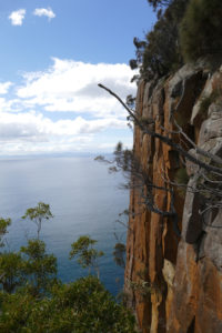 Fluted Cape Walk Bruny Island Tasmanien