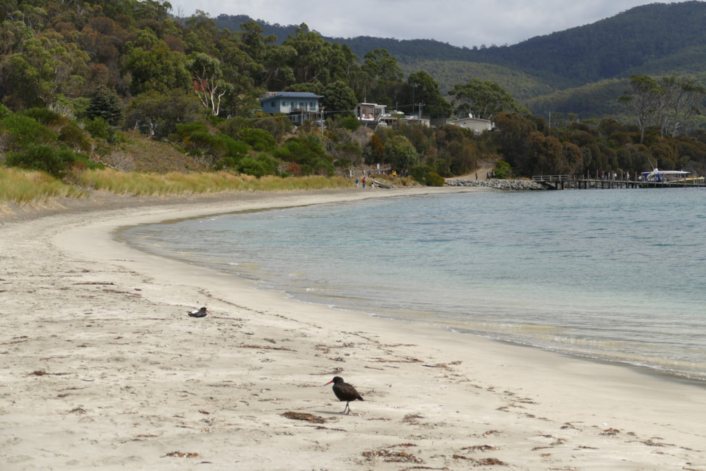 Camper Rundreise Tasmanien