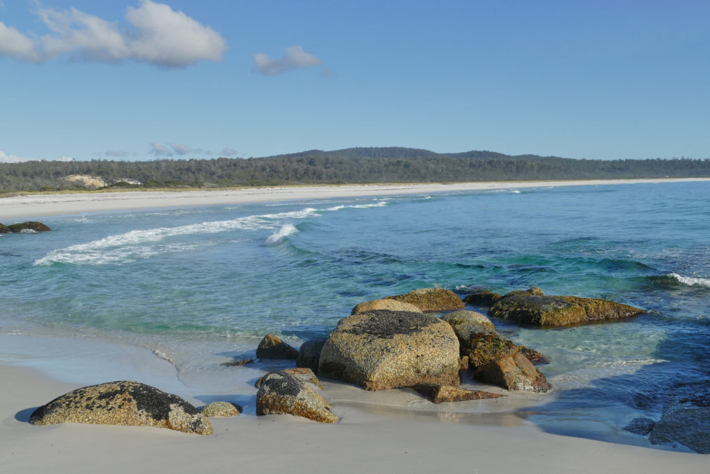 Strand Tasmanien Australien