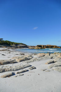 Campground Friendly Beaches
