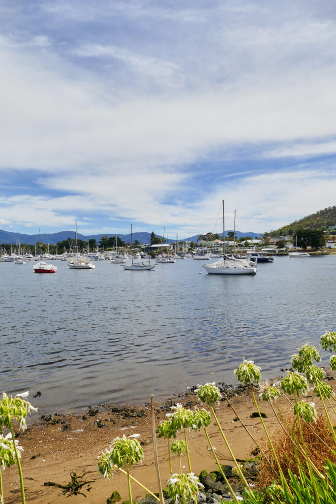 Hafen Lindisfarne Hobart Tasmanien