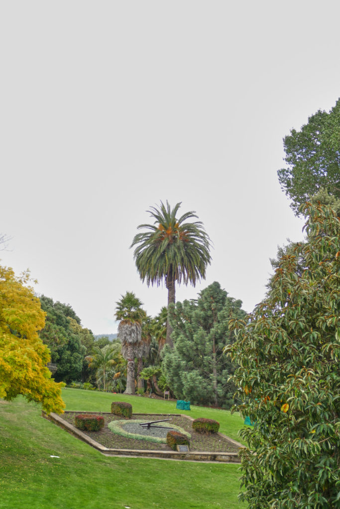 Botanischer Garten Hobart