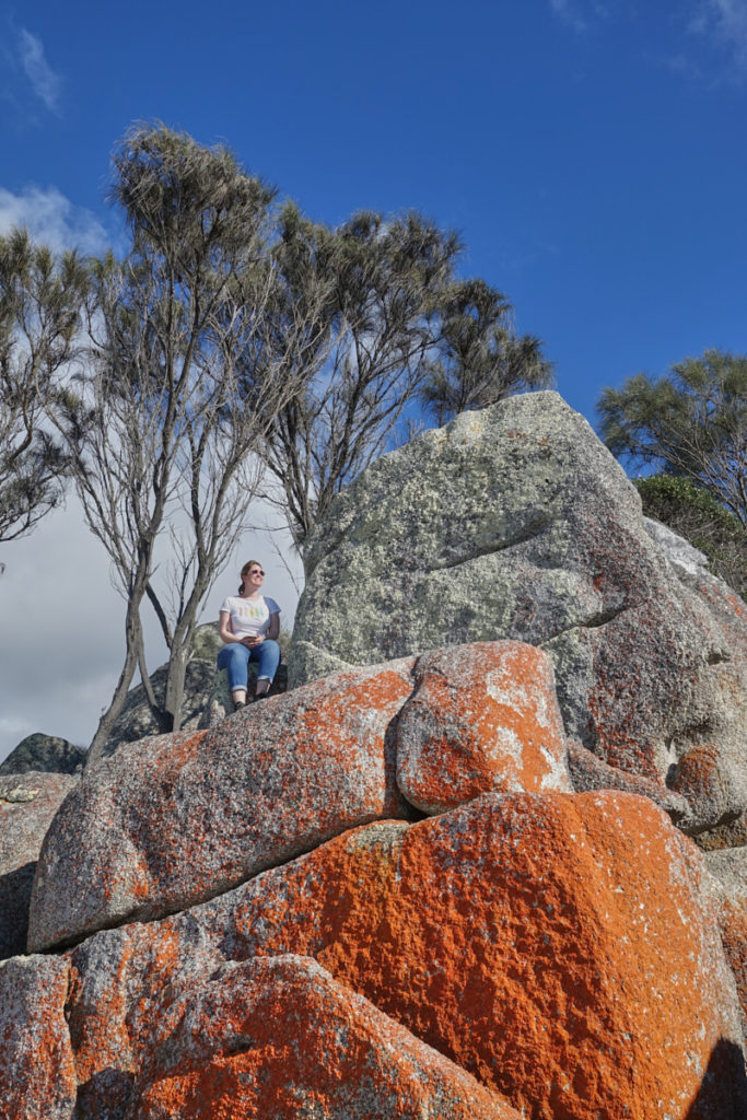 Sehenswürdigkeiten Tasmanien Bay of Fires