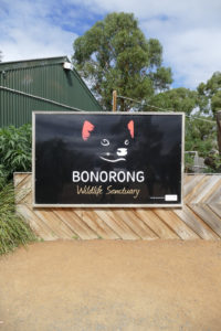 Bonorong Wildlife Sanctuary