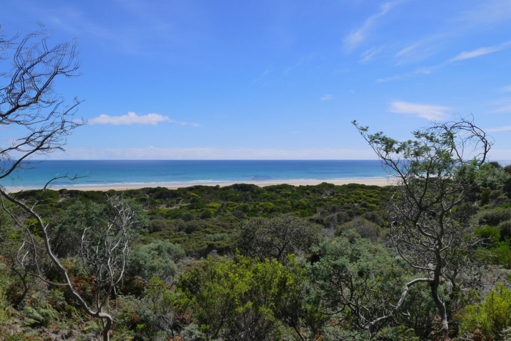 Sehenswürdigkeiten Tasmanien Ausblick vom Archers Knob