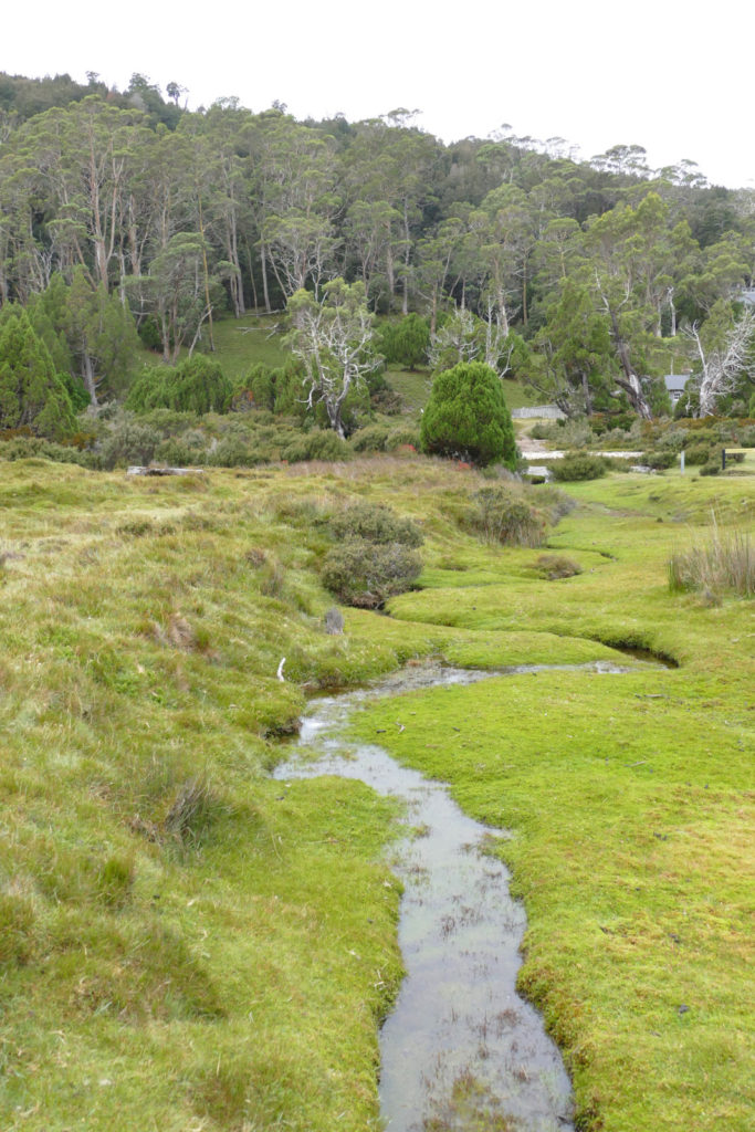 Cradle Mountain Nationalpark Bach