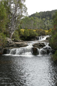 Cradle Mountain Nationalpark