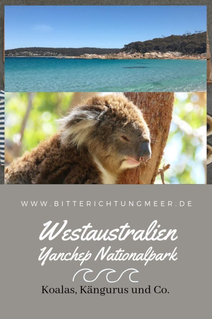 Pinterest Graphik Yanchep Nationalpark