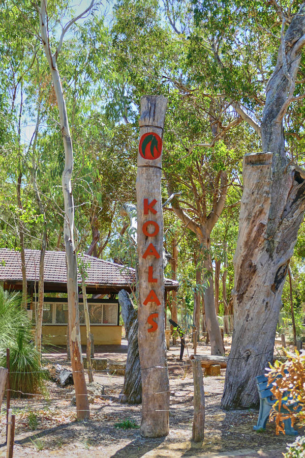Koala Board Walk Yanchep Nationalpark