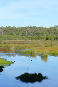 Yanchep Nationalpark