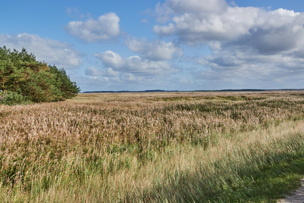 Nationalpark Hohe Düne Ostsee