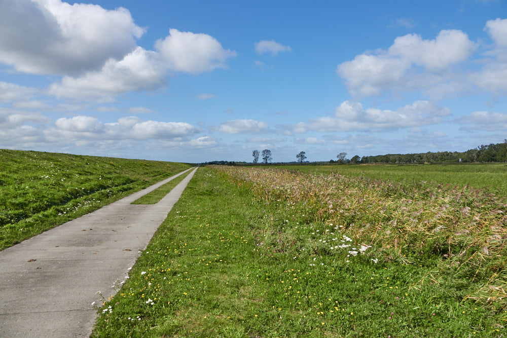 Zingst Radwege Ostsee