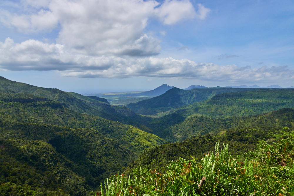 Black River Gorges Nationalpark Mauritius