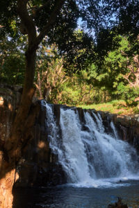 Mauritius Rochester Falls