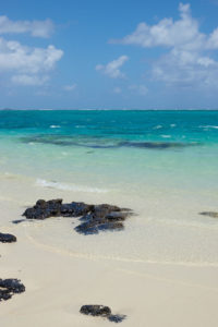 Mauritius Pointe d'esny