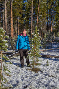 USA Westen Rundreise Schnee im Yellowstone NP