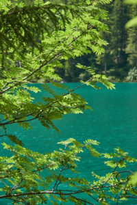 Pragser Wildsee Rundweg