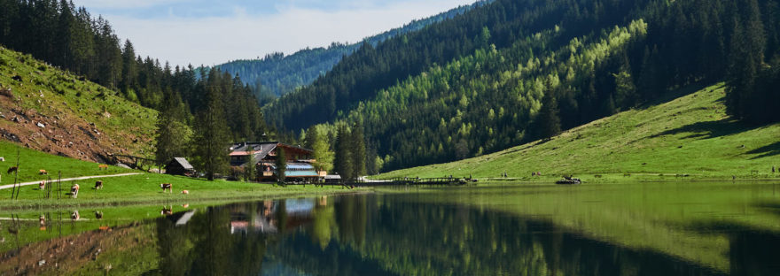 Steierischer Bodensee mit Wald