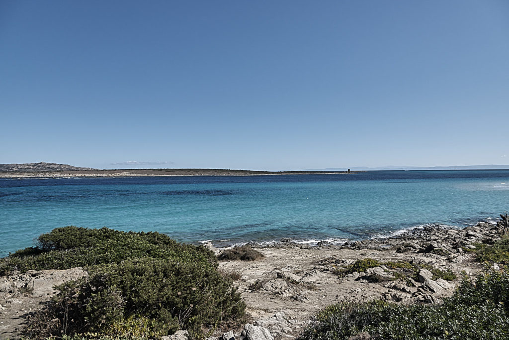 La Pelosa Strand Stinitino Nordsardinien