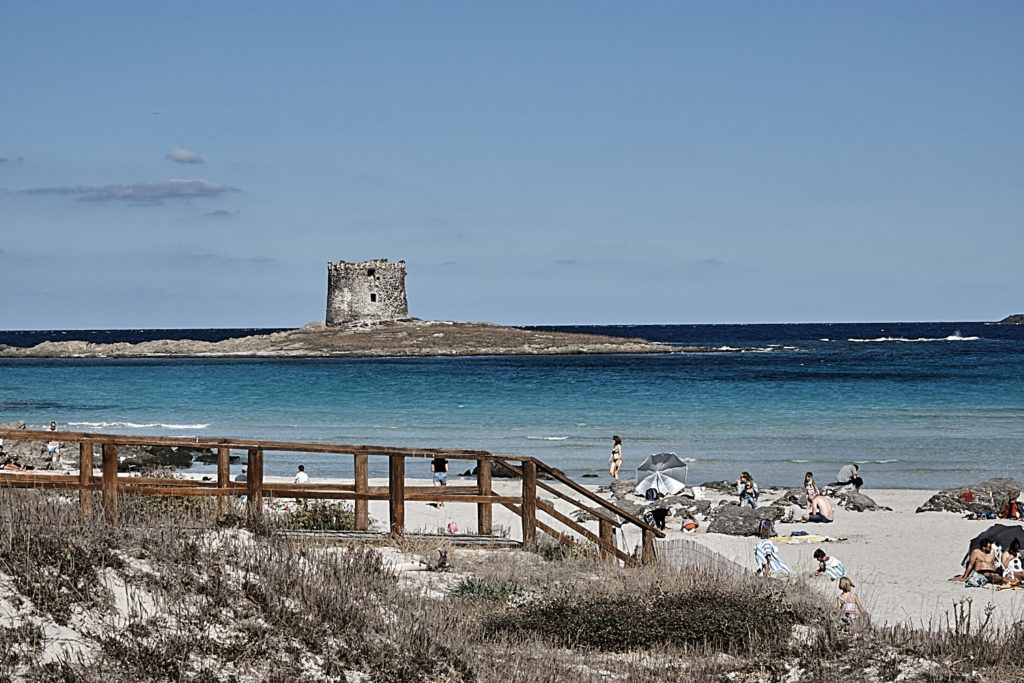 vw bus tour sardinien