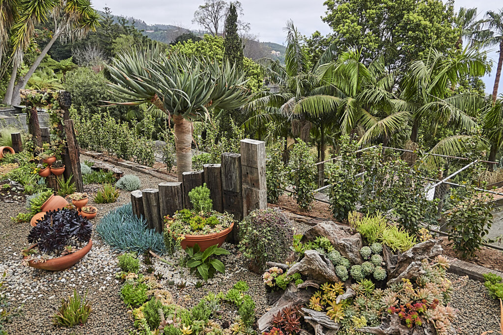 Tropischer Garten Monte Funchal Madeira