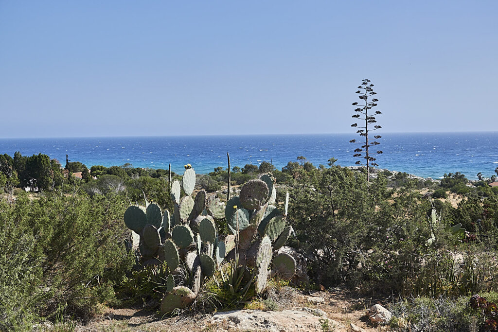 Skulpturenpark in Ayia Napa, eine der Zypern Sehenswürdigkeiten