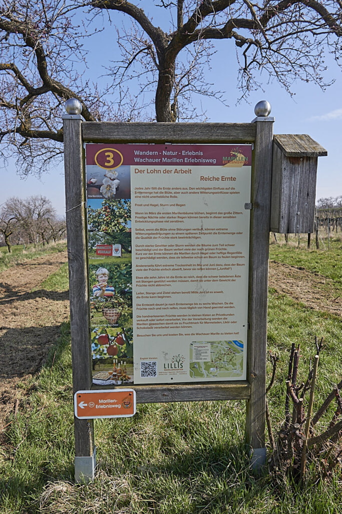 Schautafel am Marillen Erlebnisweg
