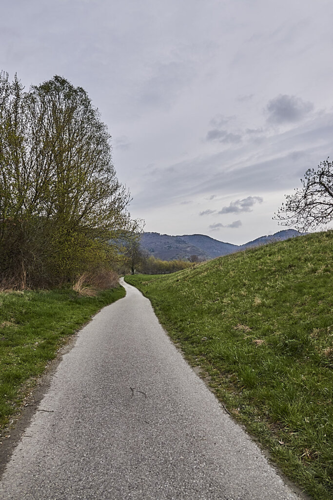 Strecke entlang der Marillenmeile Ost in Rührsdorf