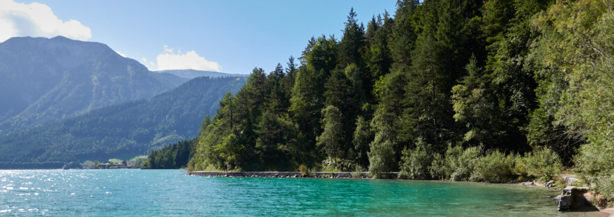 Türkises Wasser und Wald am Ufer des Achensees
