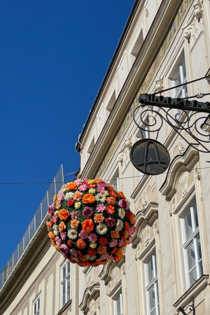 Blumendeko in Krems